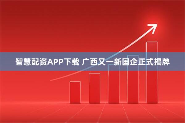 智慧配资APP下载 广西又一新国企正式揭牌